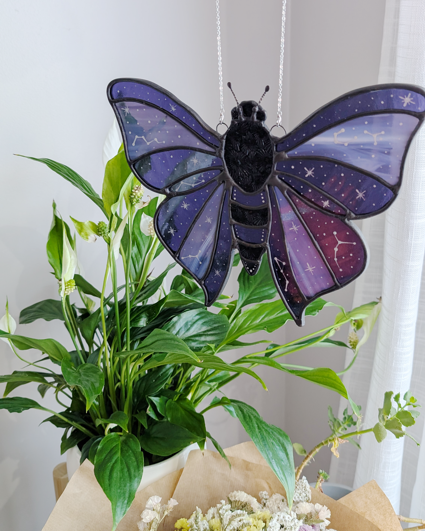 Constellations Moth