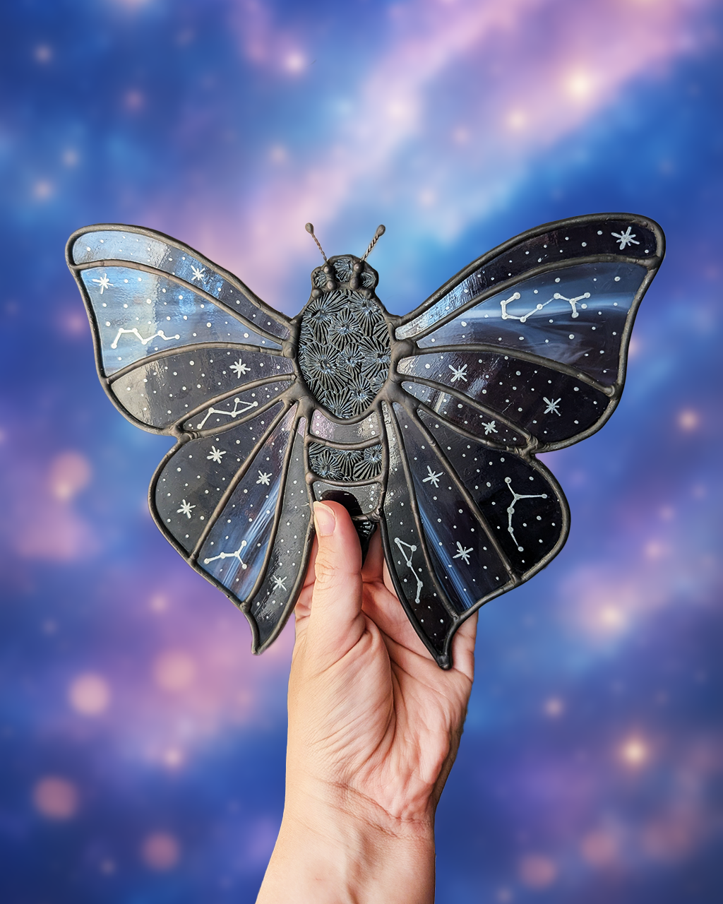 Constellations Moth