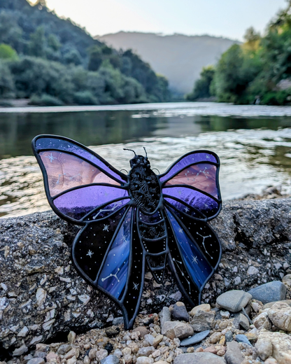 Constellations Moth