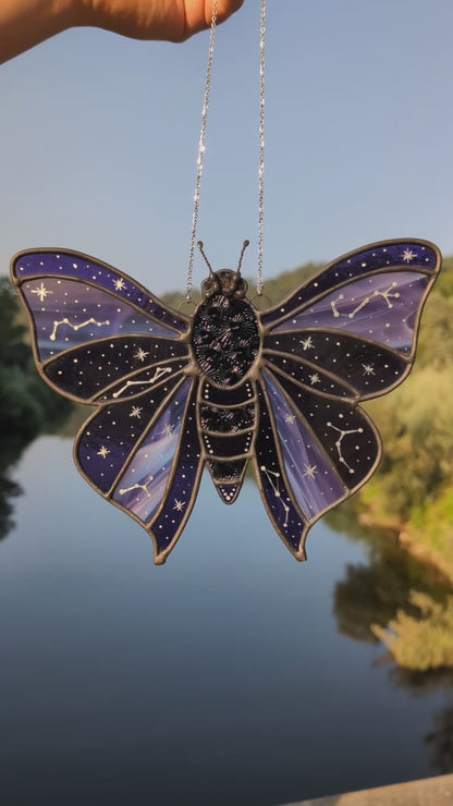 Constellations Moth